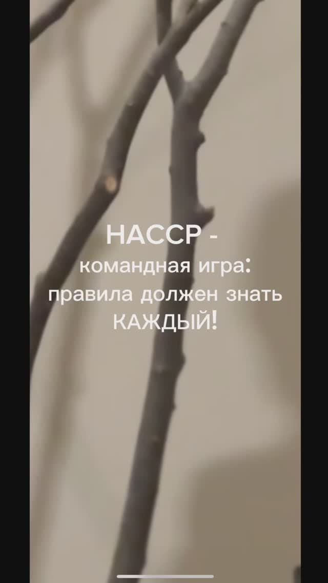 Сериал "Мифы Кухни ХАССП". Серия 4 "HACCP – командная игра: правила должен знать каждый!" смотреть онлайн