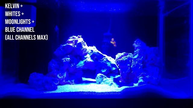 PopBloom S16 LED Light REVIEW