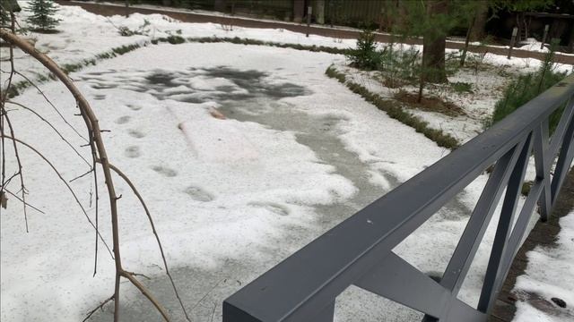 Новости по пруду.Лед интересно встал смотреть онлайн