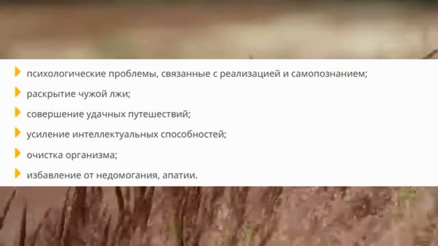 МАГИЯ СТИХИЙ. КАК ОБУЧИТЬСЯ МАГИИ ВОЗДУХА. смотреть онлайн