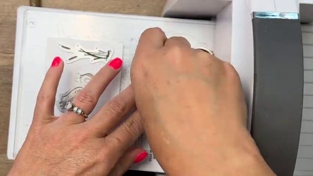 Heron Habitat from Stampin' Up! смотреть онлайн