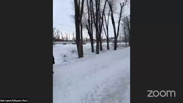 Бурная реакция на собак (Акита) смотреть онлайн