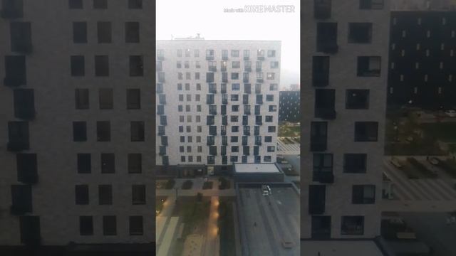 ФМС патент регистрация 2 кисм😯😯🤔🤔