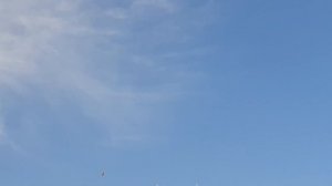 Иранские бойные голуби//Головатые//Тренировка в сильный ветер// Показываю маточник