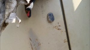 Как завести дизельный двигатель, когда попал воздух в топливную систему. газ 3308 , газ 3309 газон