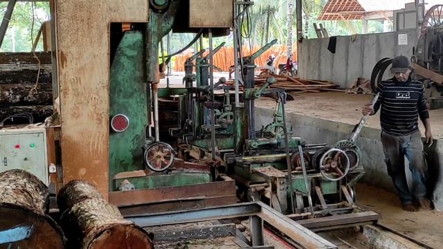 operator gergaji bandsaw merajang kayu mahoni sedang menggunakan lori elektrik смотреть онлайн