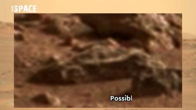 Martian Car: Possible Car on Mars? spotted by NASA's Curiosity Rover | Perseverance Rover New Pics смотреть онлайн