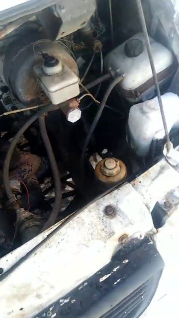 VID 20210218 WA0002 смотреть онлайн