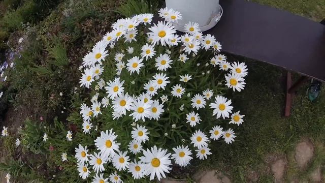 Summertime GU смотреть онлайн