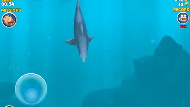 Hungry shark random смотреть онлайн