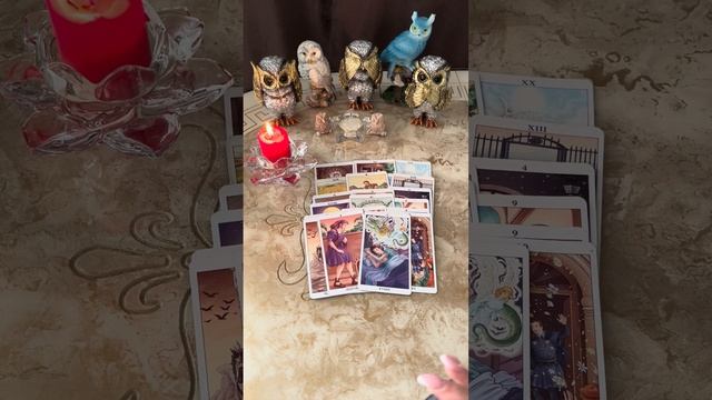 КАРТА ДНЯ НА 11 ИЮЛЯ 2024 ГОДА