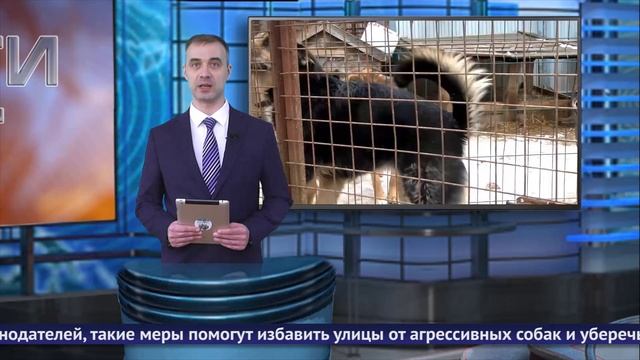 Обнинские новости (за 6 марта 2025) смотреть онлайн