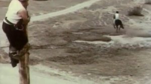 Одиноким предоставляется общежитие (1983)