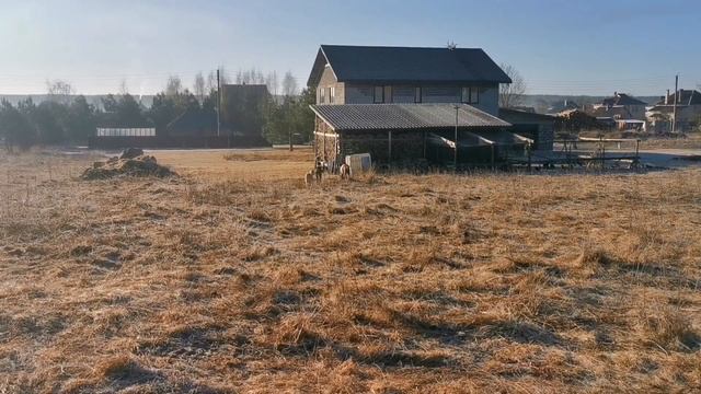 Бесплатный сыр, только в мышеловке. О покупке козлят. смотреть онлайн
