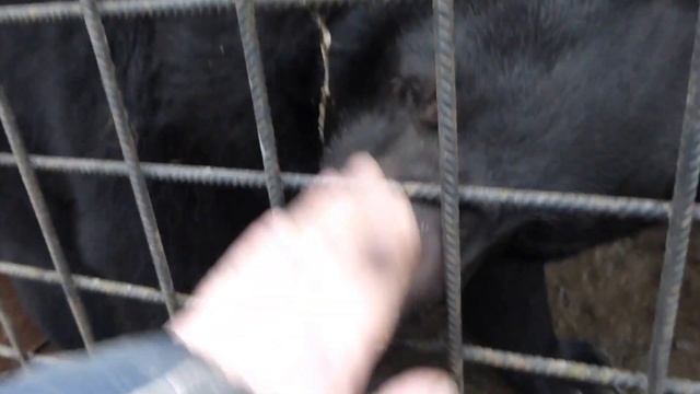 Маша и Миша смотреть онлайн