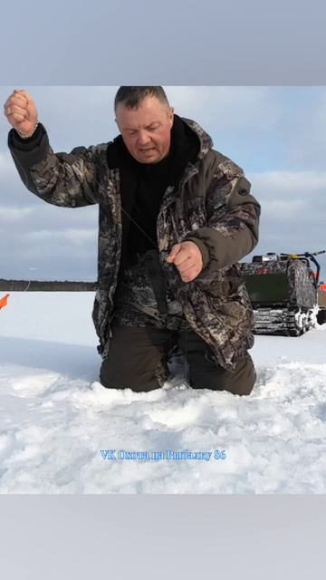 ФЕВРАЛЬСКИЕ ЖЕРЛИЦЫ смотреть онлайн