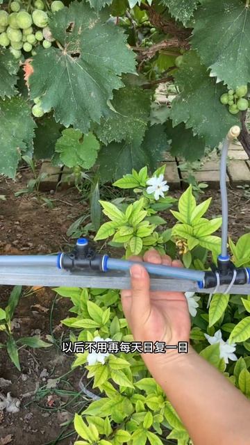 Too many flowers to take care of! Then spend a few dozen to buy a sprinkler waterer! No more смотреть онлайн