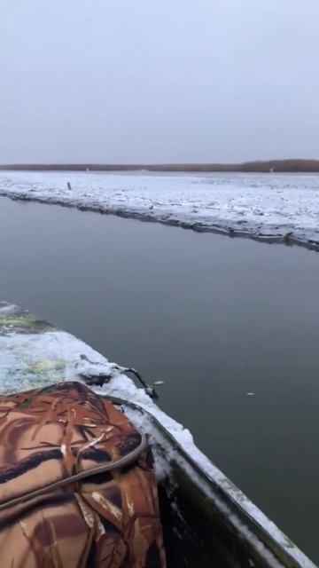 выход в лиман
