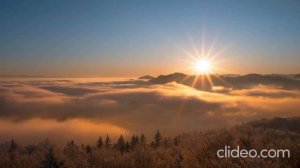 Родина внутри.mp4