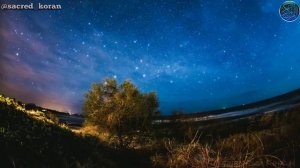 Нохчи хьехам  леид