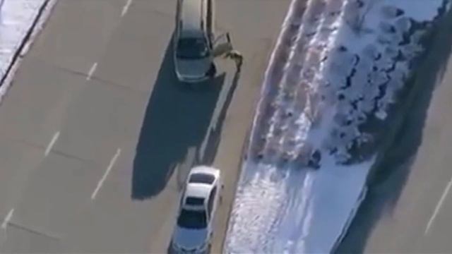 Dubbed Comedy - GTA Style Carjacking During A Police Chase смотреть онлайн
