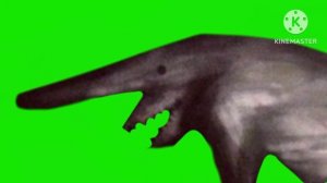 the goblin shark jumpscare fanmade trevor henderson green screen