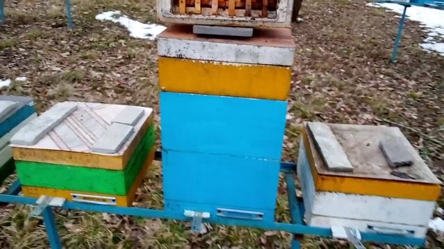 Первые весенние работы с миниплюсами