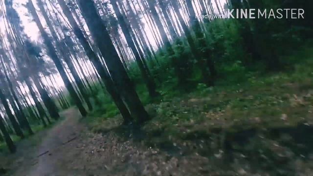 Кечки югуриш. ВЕЧЕРНЯЯ ПРОБЕЖКА. смотреть онлайн