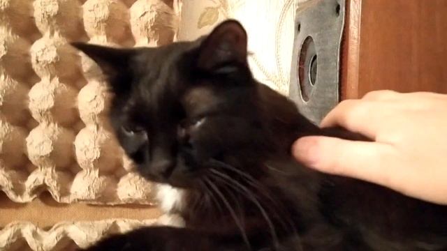 Вечерний марафет смотреть онлайн