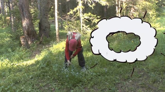"Лесной дух", мультфильм про лагерь "Эколог" смотреть онлайн