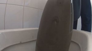 Генеральная уборка Фитнес клуба