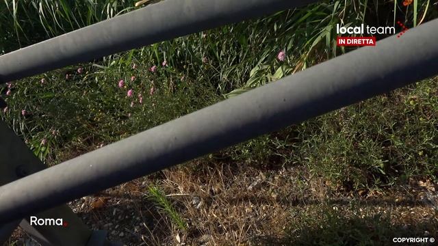 LIVE Roma, attivisti Extinction Rebellion bloccano il Grande Raccordo Anulare смотреть онлайн