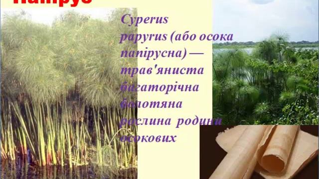 Давні носії інформації смотреть онлайн