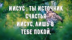 Иисус - Ты источник счастья - минус мой 2