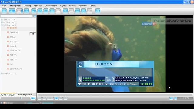 Сканирование частот в ProgDVB 6.50 (forum.vivatv.net.ru 12-2010) смотреть онлайн