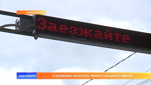 В Мордовии началась уборка сахарной свёклы смотреть онлайн