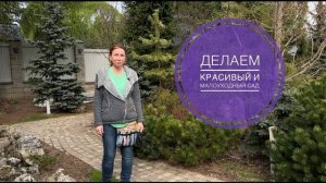 СЕКРЕТ КРАСИВОГО И МАЛОУХОДНОГО САДА! ВСЕГО ОДНО ДЕЙСТВИЕ!