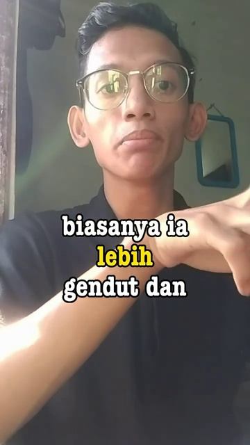 Semua Ikan Nemo Terlahir Dengan Jenis Kelamin Jantan! смотреть онлайн