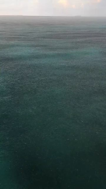 Rain Storm смотреть онлайн