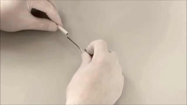 Morita Root ZX mini Quick Start Guide смотреть онлайн