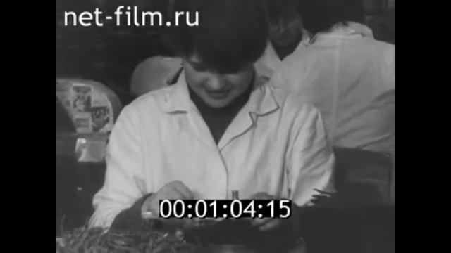 1983г. город Гагарин. завод "Динамик". Смоленская обл. смотреть онлайн