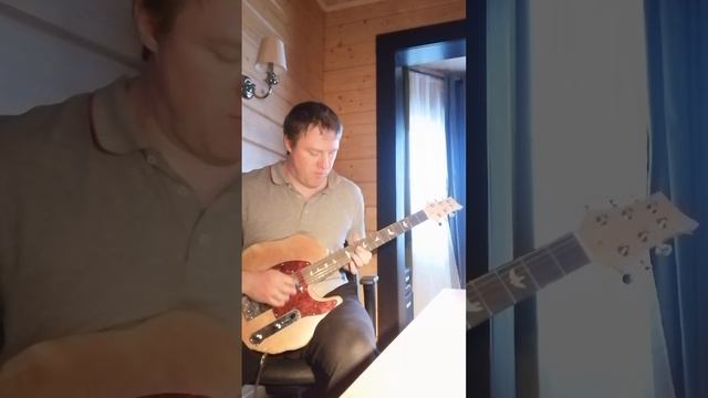 Rodnov Guitars Гитара №3 (Birch wood Guitar #3 ) смотреть онлайн