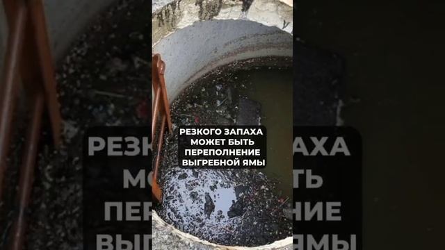 КАК НАВСЕГДА убрать ЗАПАХ канализации l Избавиться от неприятной вони смотреть онлайн