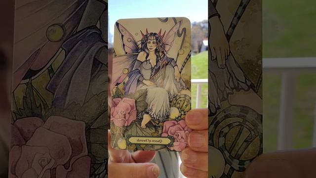 Queen of Swords - Daily Tarot Reading смотреть онлайн