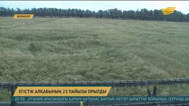Астық алқаптарының 23 пайызы жиналды смотреть онлайн