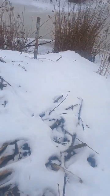 Бобровая хата смотреть онлайн