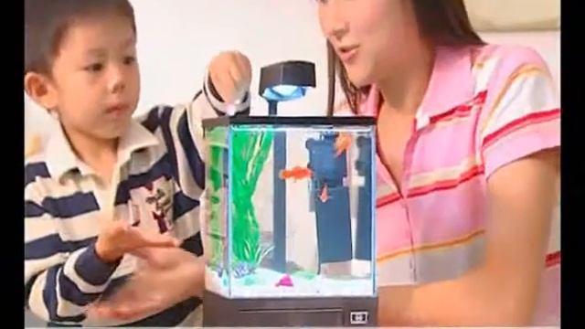 AA水族 TVC (流感篇) смотреть онлайн