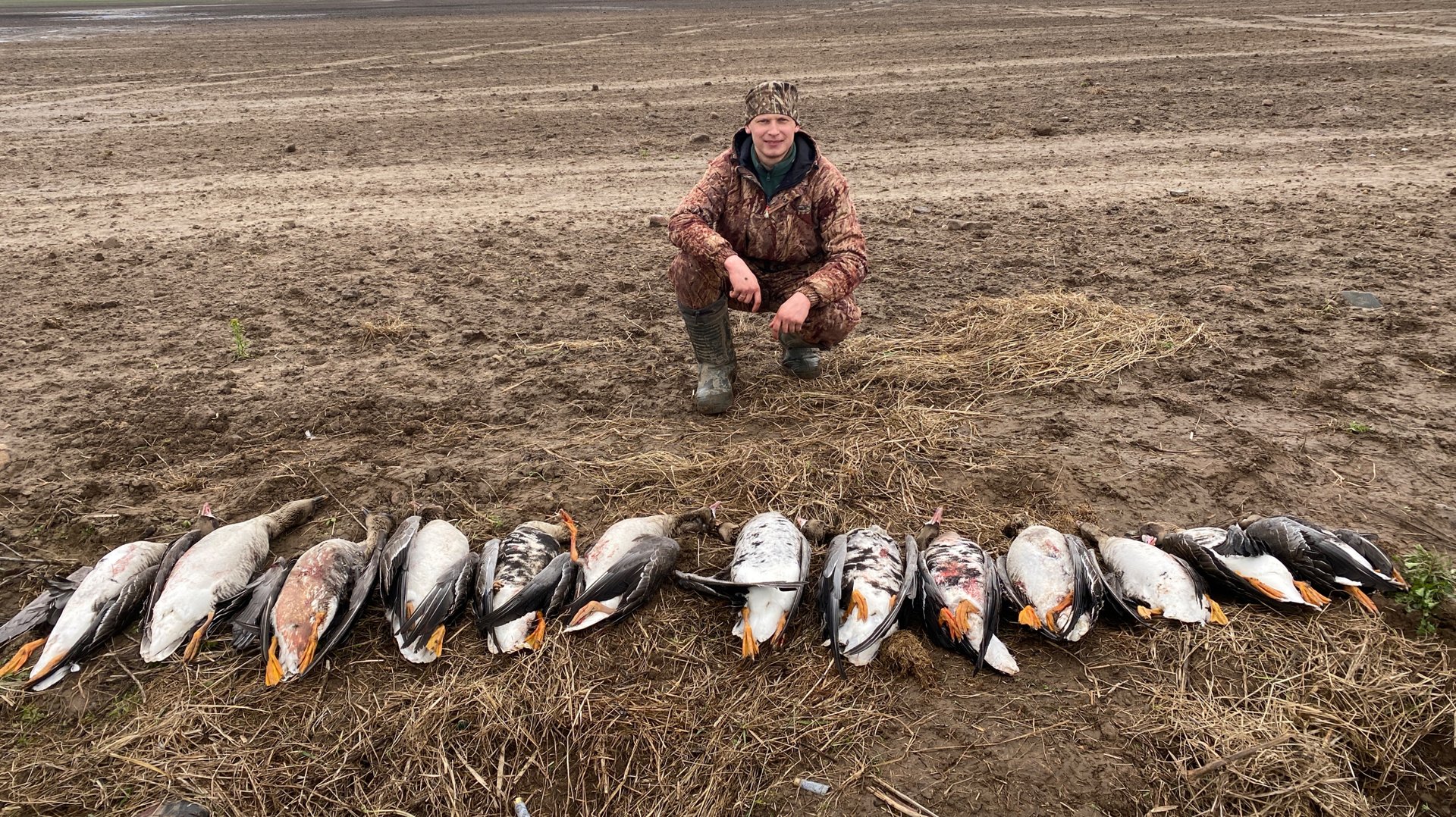 Охота на гуся. Охота на гуся в Беларуси. Гусь 2025 смотреть онлайн