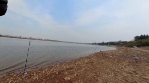 Рыбалка на Петропавловском озере. Сом 2-3 килограмма?! #рыбалка #сомик #огромнаярыба #рибалка #риба