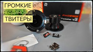 Громкие неодимовые рупорные твитеры DL Audio Phoenix Neo Tweeter V2. Распаковка и прослушка